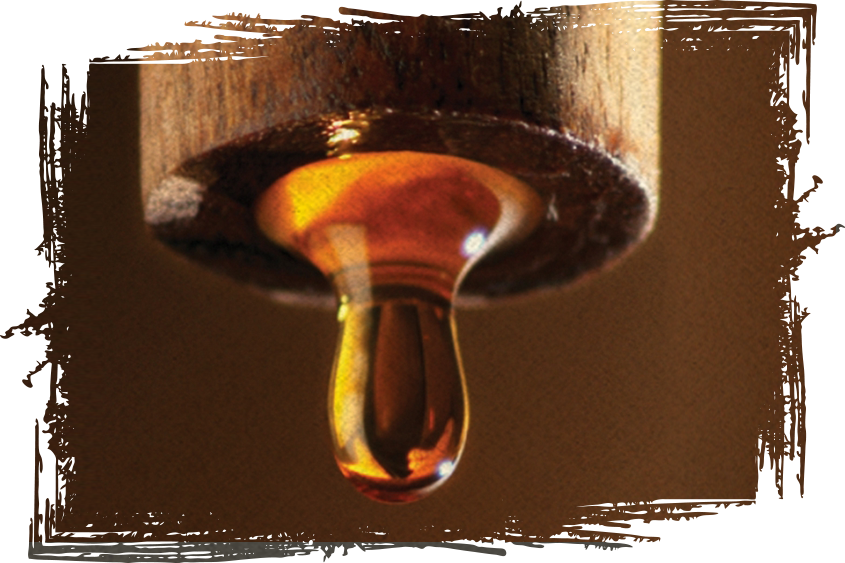 Giới thiệu nước mắm truyền thống CANA