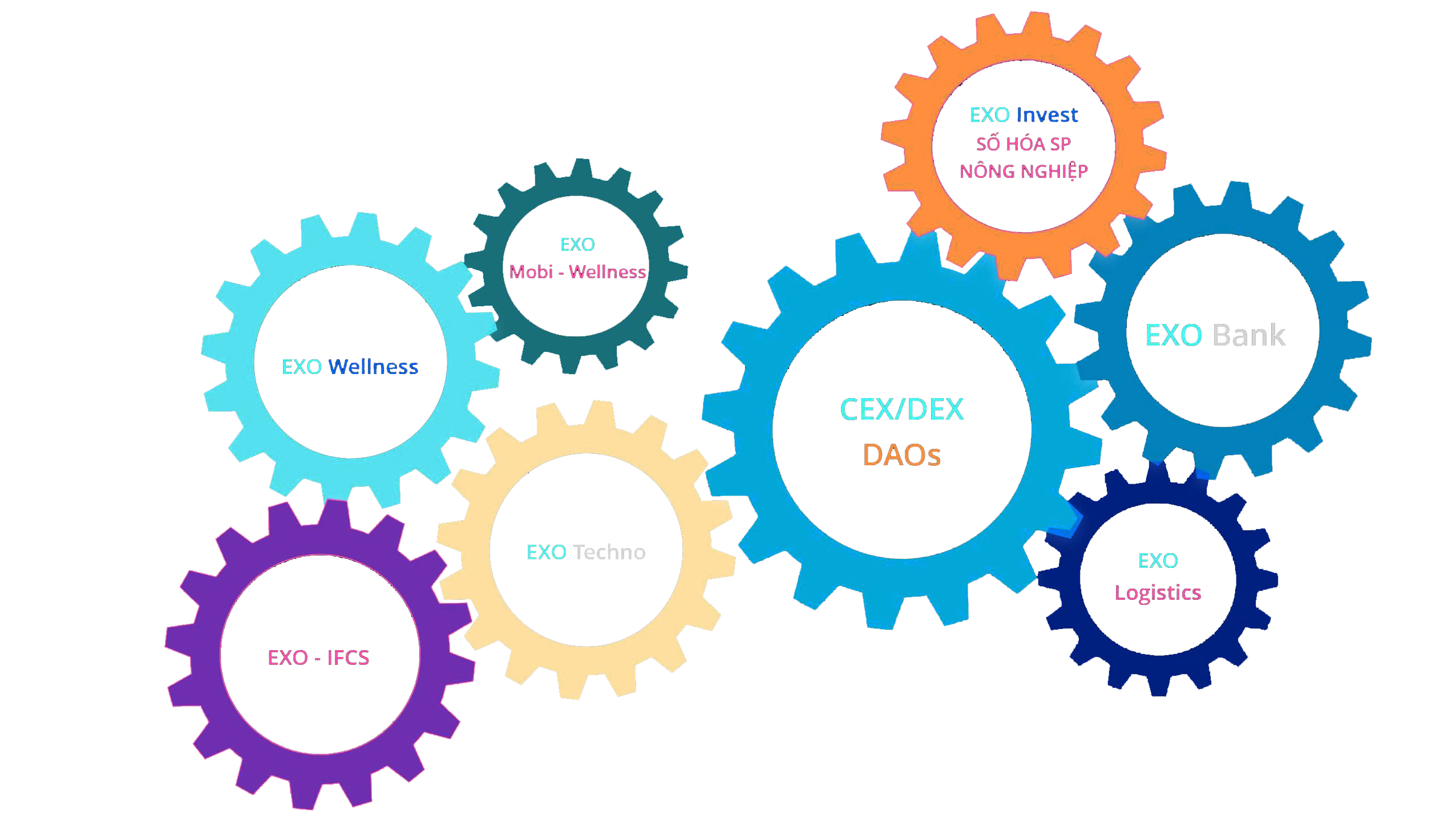 Hình Hệ sinh thái EXO