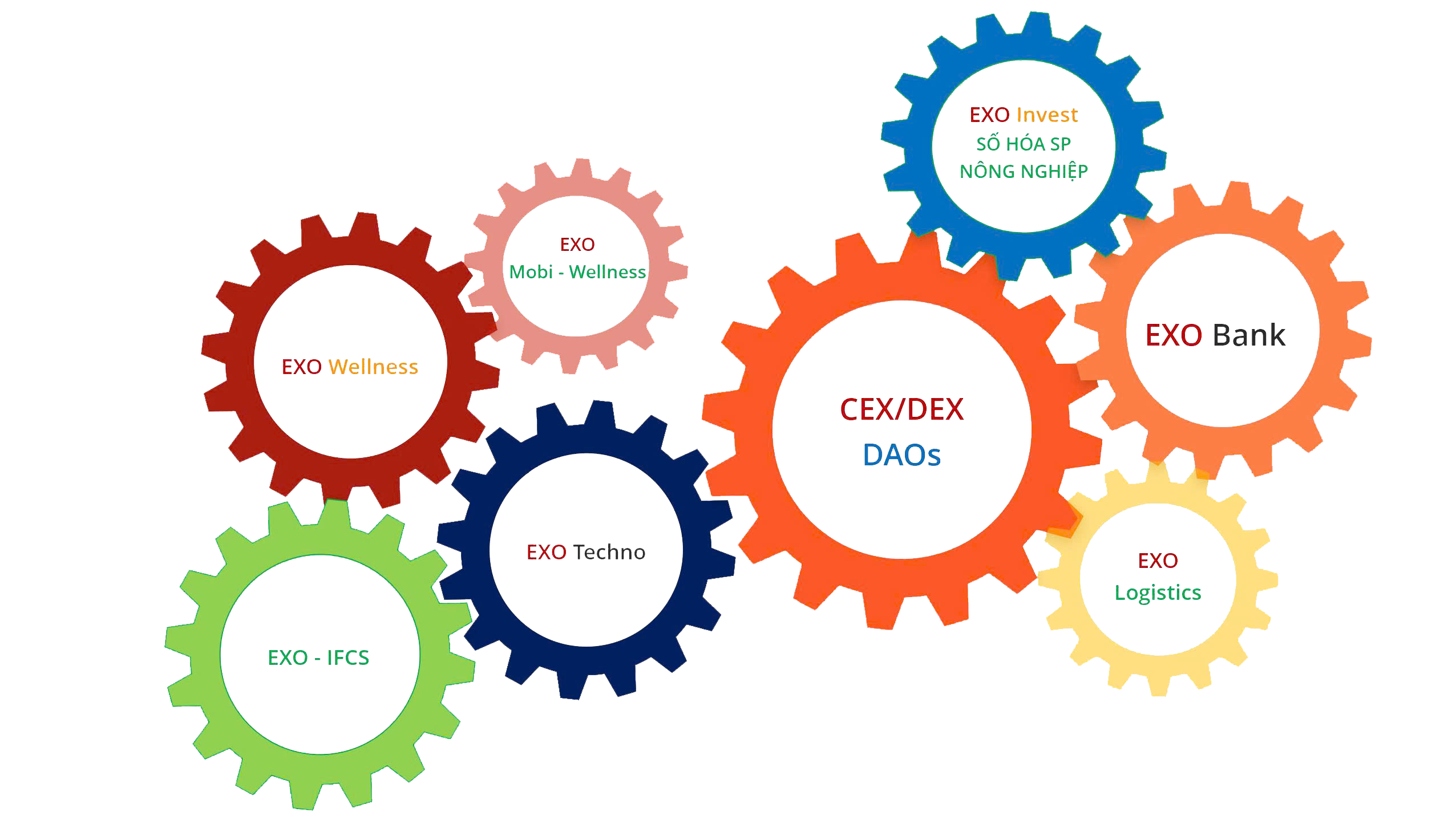 Hình Hệ sinh thái EXO